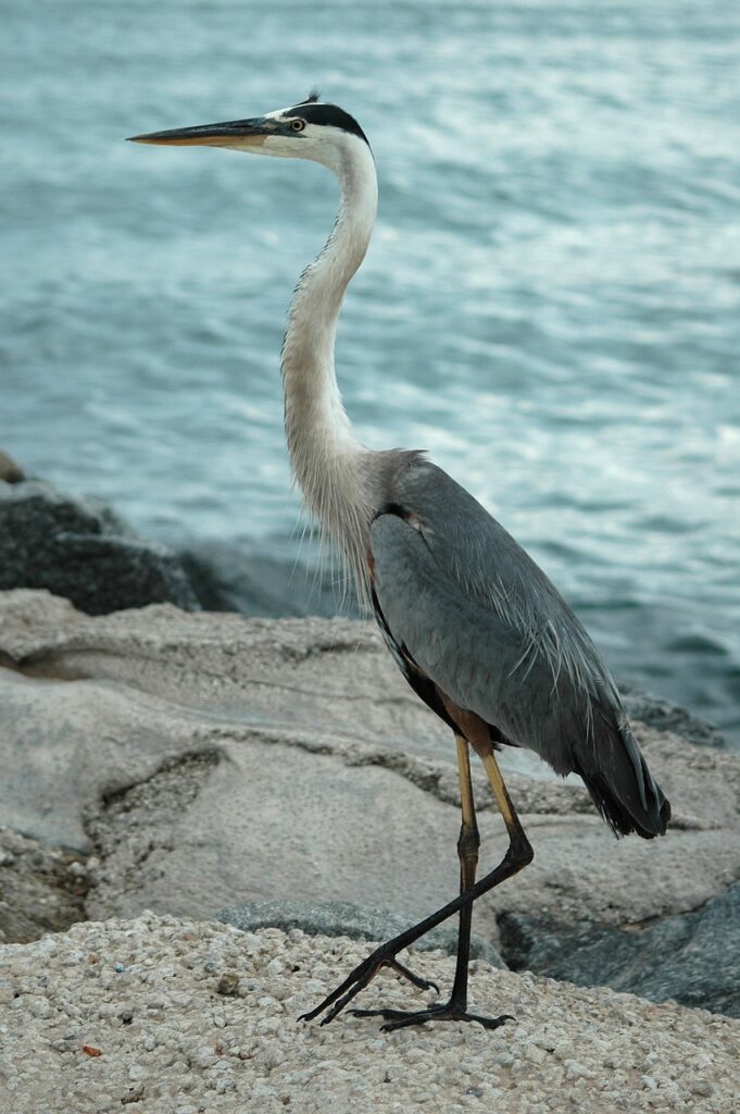 Wildlife Sanctuary